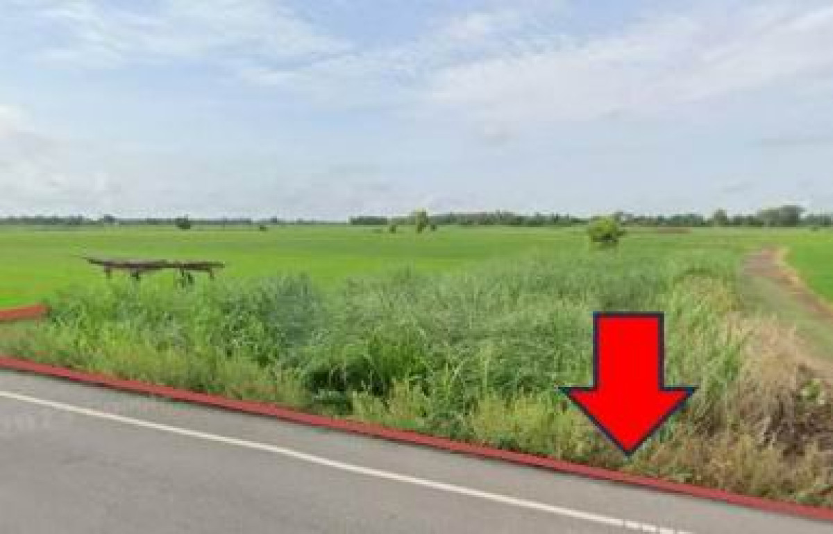 ที่ดินเปล่า พิษณุโลก บางระกำ ท่านางงาม 75000