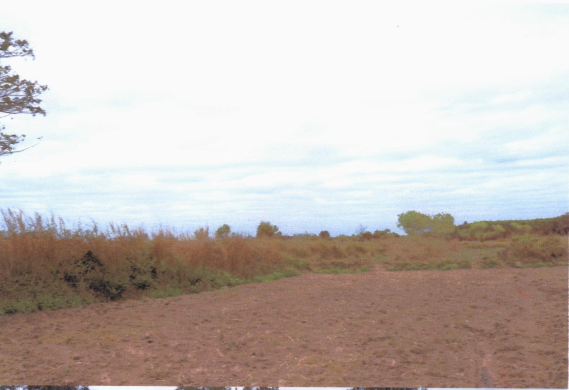 ที่ดินเปล่า สกลนคร สว่างแดนดิน สว่างแดนดิน 139150