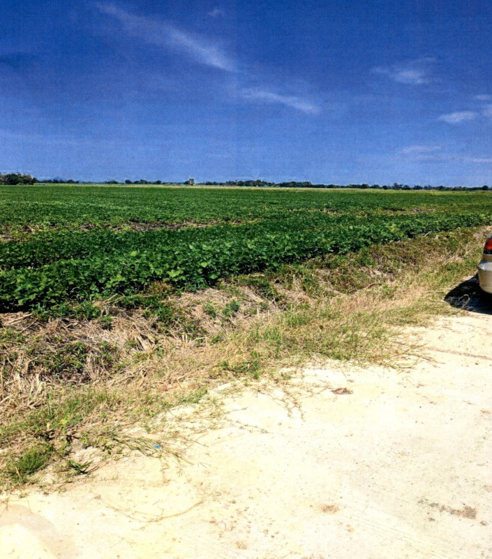 ที่ดินเปล่า ลพบุรี โคกสำโรง สะแกราบ 24000