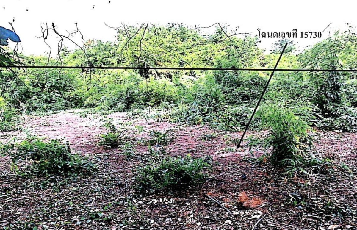 ที่ดินเปล่า ลพบุรี พัฒนานิคม โคกสลุง 20000