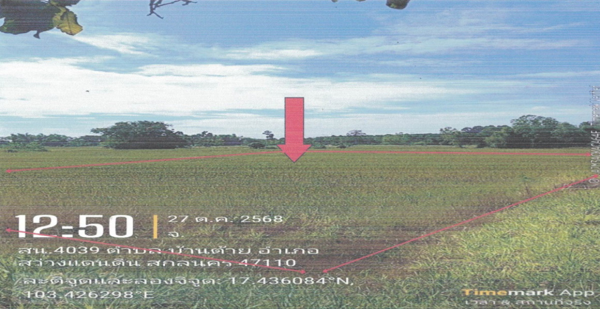 ที่ดินเปล่า สกลนคร สว่างแดนดิน สว่างแดนดิน 99330