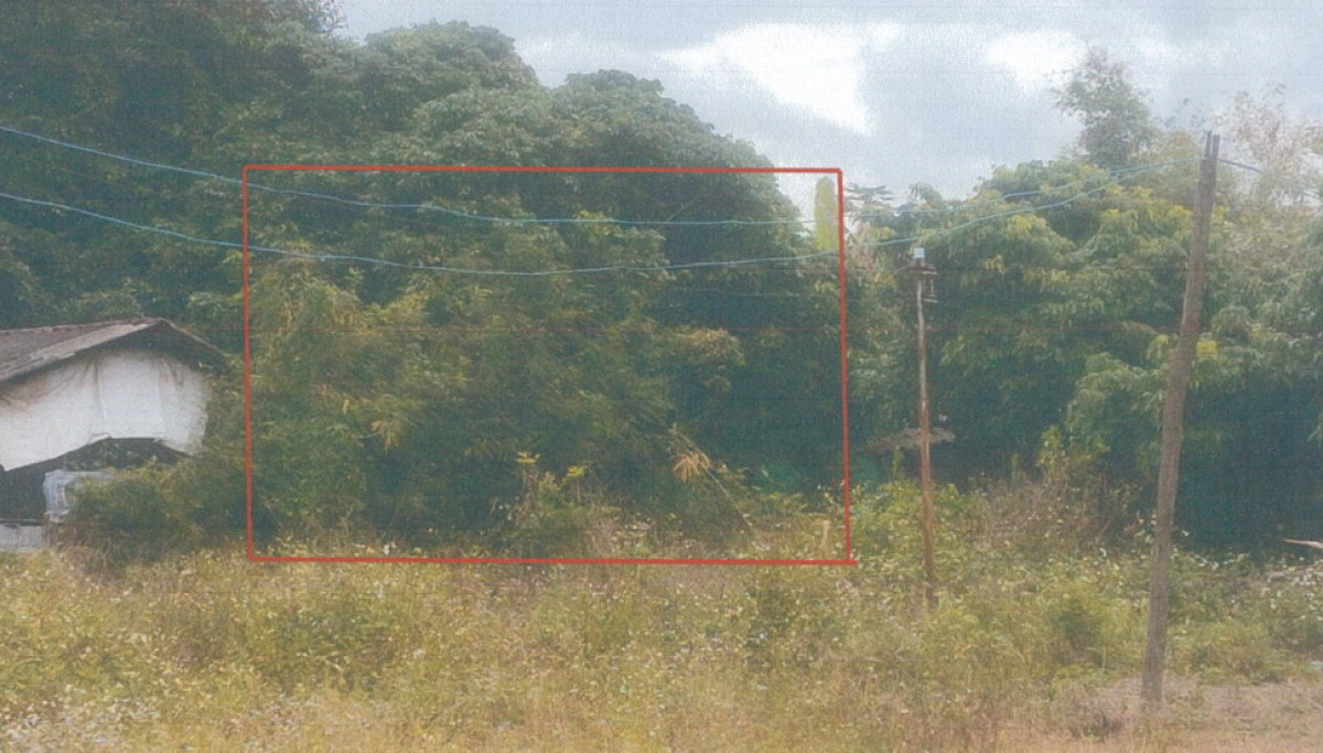 ที่ดินเปล่า เชียงใหม่ พร้าว ป่าตุ้ม 72000