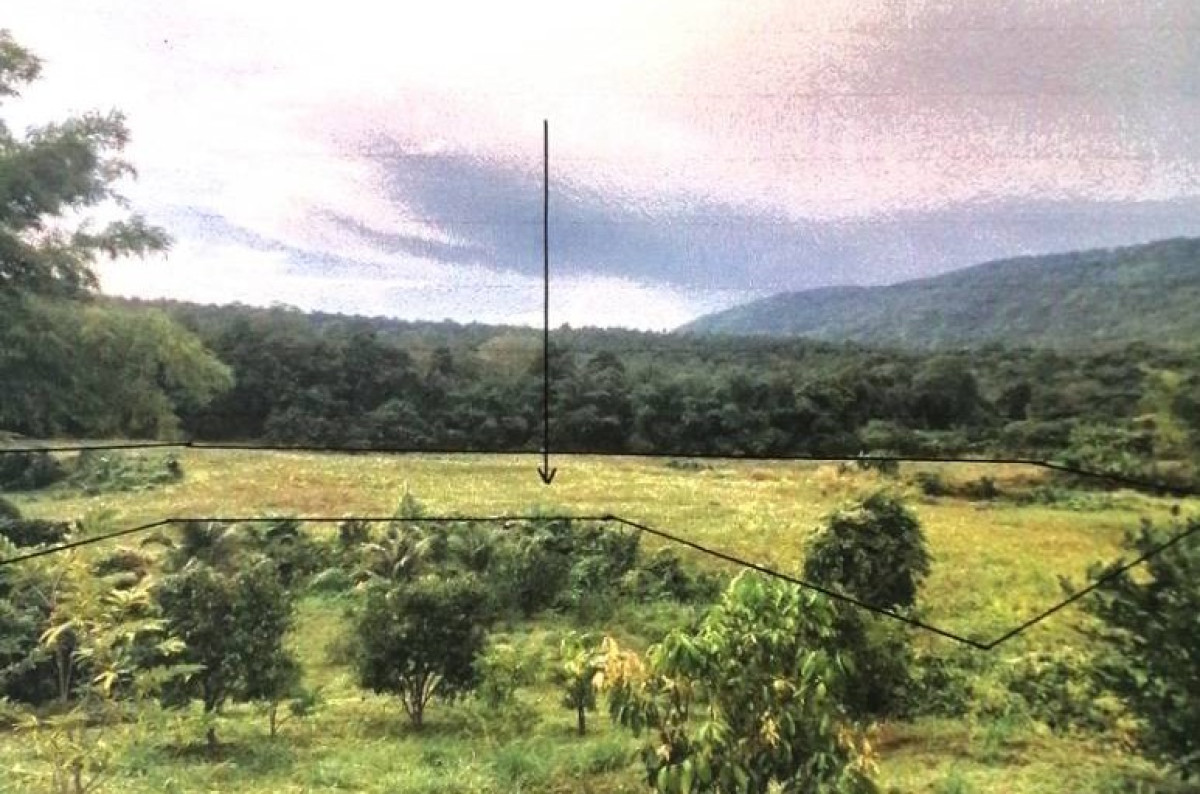 ที่ดินเปล่า พิษณุโลก วังทอง แก่งโสภา 431200