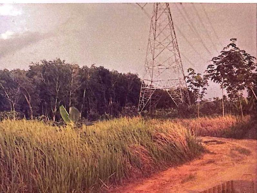 ที่ดินเปล่า นครศรีธรรมราช ทุ่งใหญ่ ท่ายาง 1294125