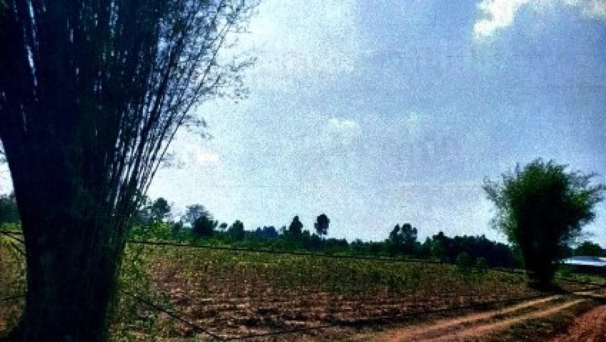 ที่ดินเปล่า พิษณุโลก วังทอง ท่าหมื่นราม 416000