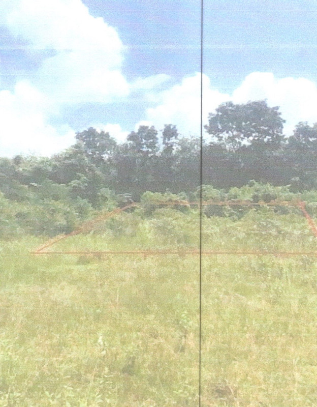 ที่ดินเปล่า พัทลุง ตะโหมด แม่ขรี 60000