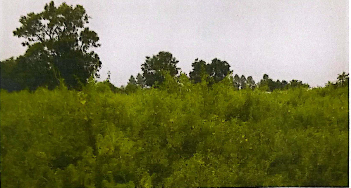 ที่ดินเปล่า สกลนคร สว่างแดนดิน สว่างแดนดิน 66330