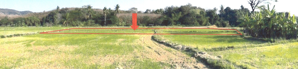 ที่ดินเปล่า น่าน ภูเพียง น้ำแก่น 93380