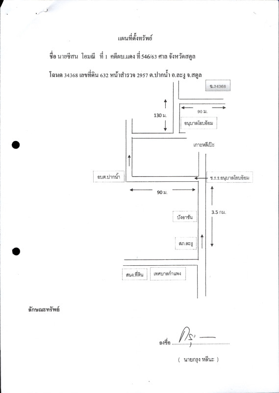 ที่ดินเปล่า สตูล ละงู ปากน้ำ 13916