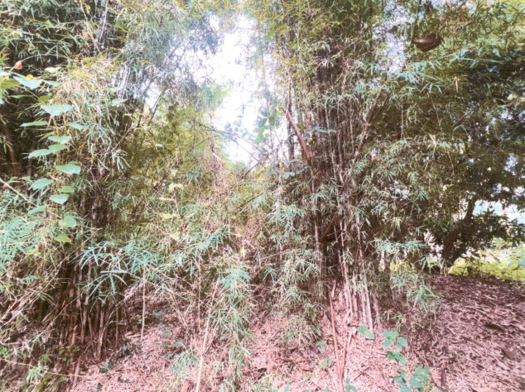 ที่ดินเปล่า พะเยา จุน จุน 60800