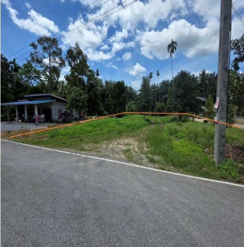 ที่ดินเปล่า นครศรีธรรมราช สิชล สี่ขีด 81525