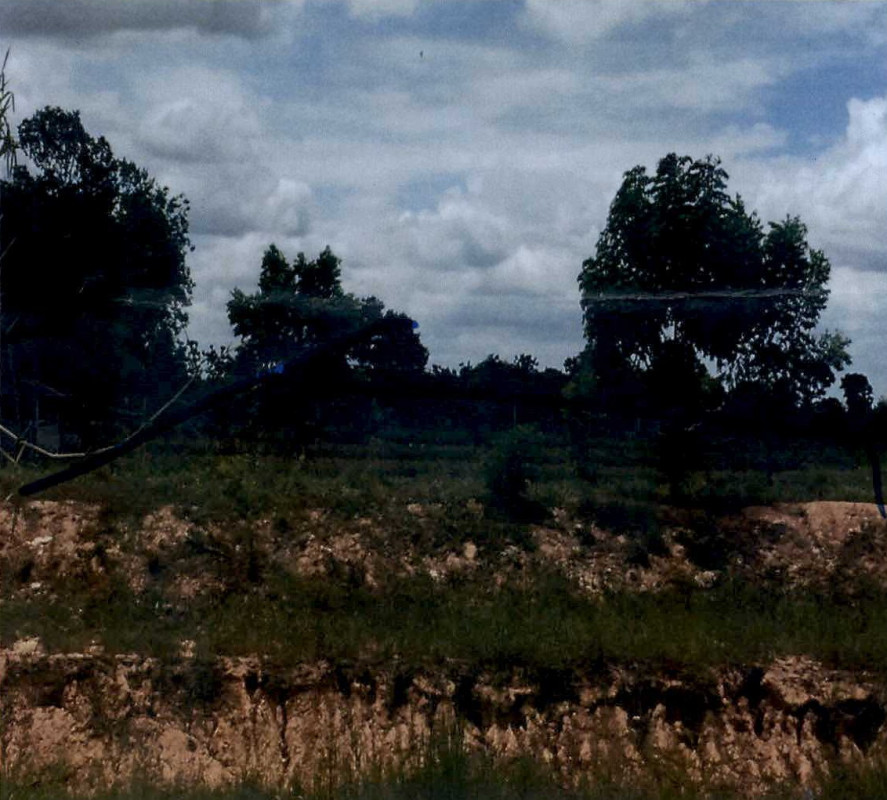 ที่ดินเปล่า นครราชสีมา ปักธงชัย ตะคุ 357300