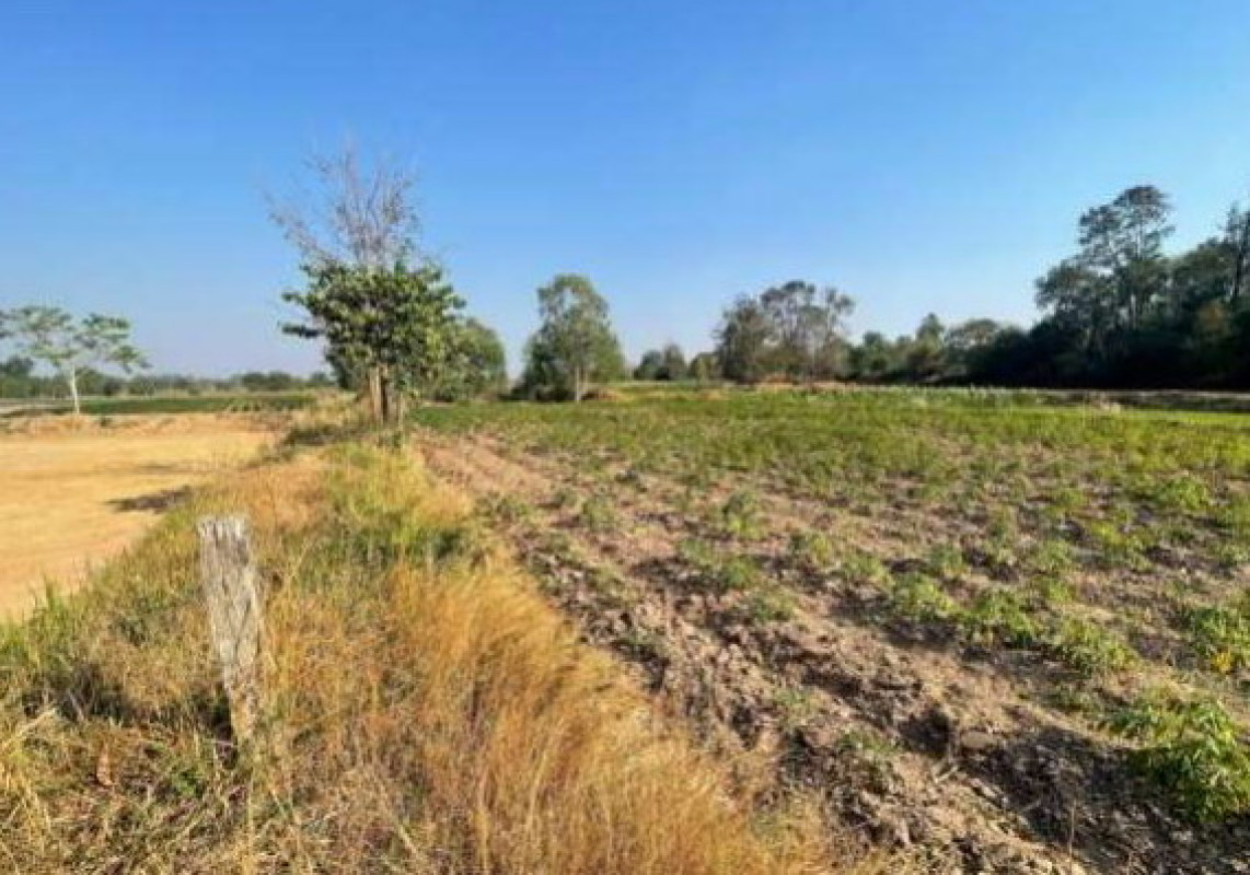 ที่ดินเปล่า ร้อยเอ็ด โพธิ์ชัย บัวคำ 119815