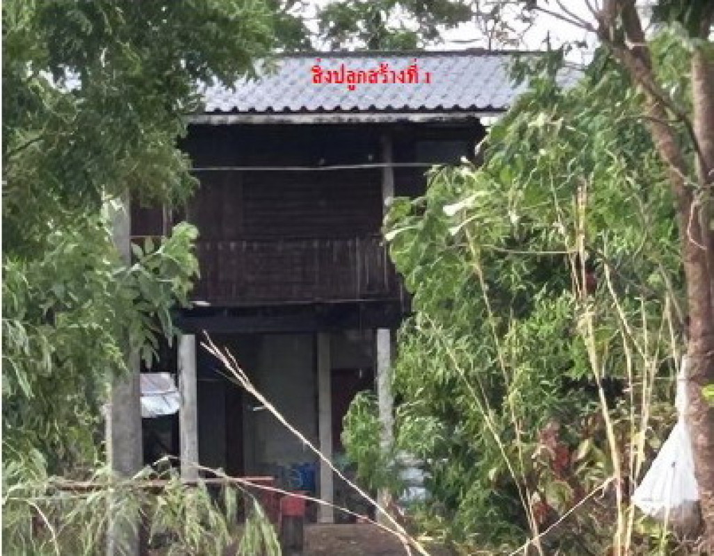 บ้านเดี่ยว พิจิตร บางมูลนาก วังสำโรง 399256