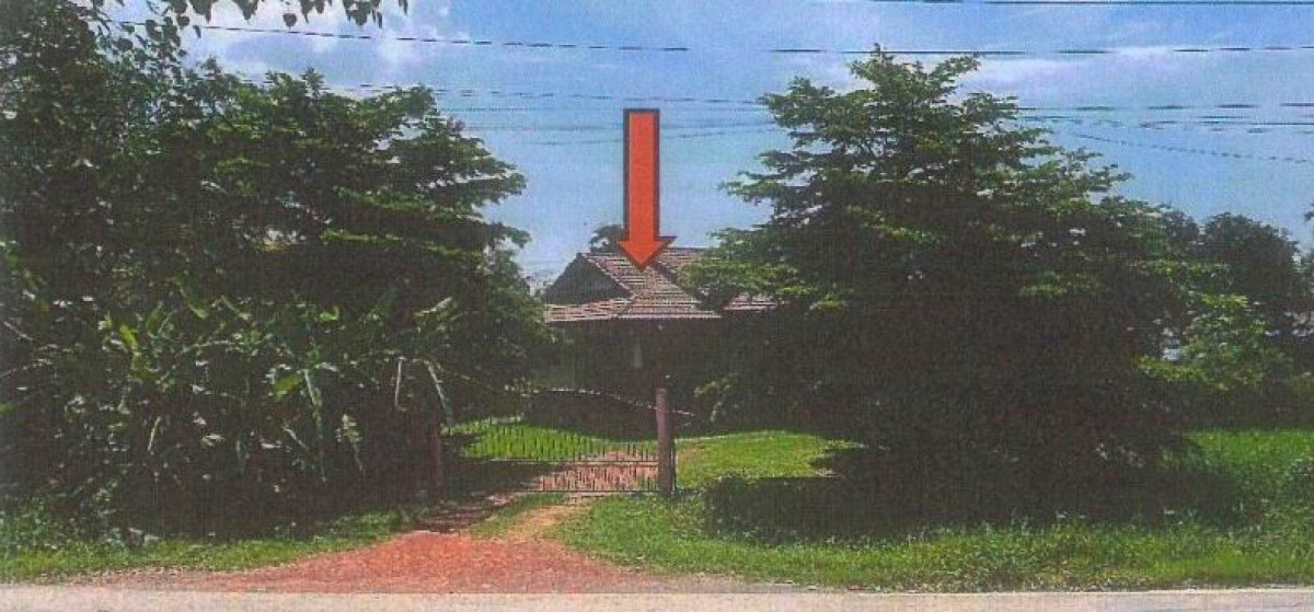 บ้านเดี่ยว กรุงเทพมหานคร หนองจอก หนองจอก 1904940