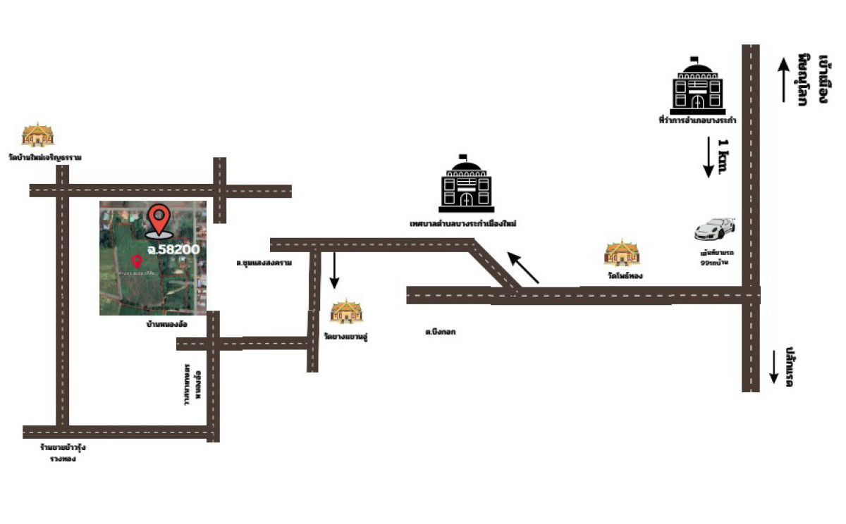 ที่ดินเปล่า พิษณุโลก บางระกำ ชุมแสงสงคราม 863100