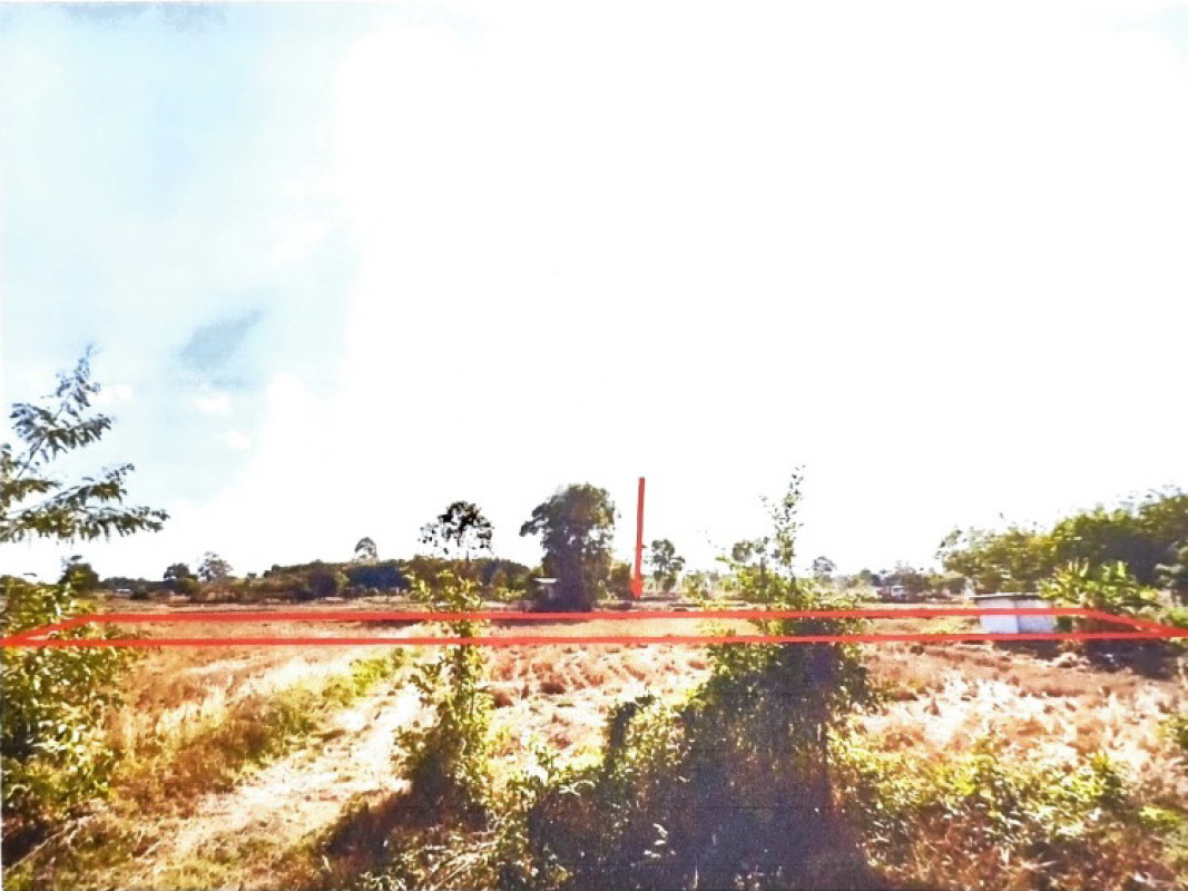 ที่ดินเปล่า สกลนคร สว่างแดนดิน ตาลโกน 212100