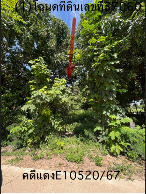 ที่ดินเปล่า ร้อยเอ็ด ปทุมรัตต์ หนองแคน 68000