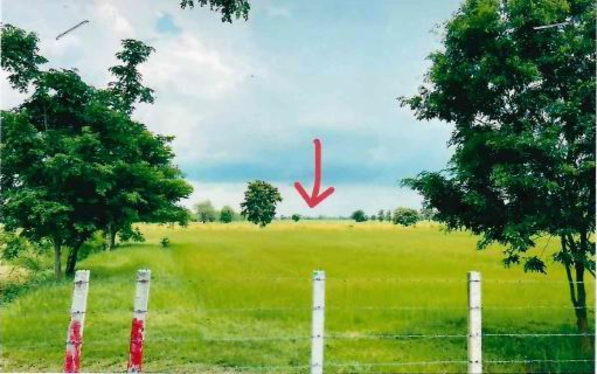 ที่ดินเปล่า บุรีรัมย์ ประโคนชัย โคกตูม 525824