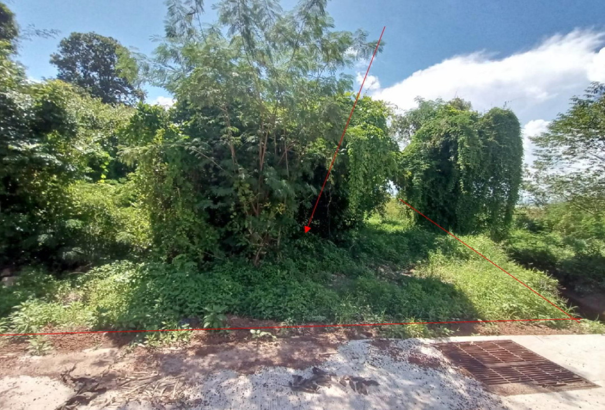 ที่ดินเปล่า อำนาจเจริญ เมืองอำนาจเจริญ บุ่ง 184800