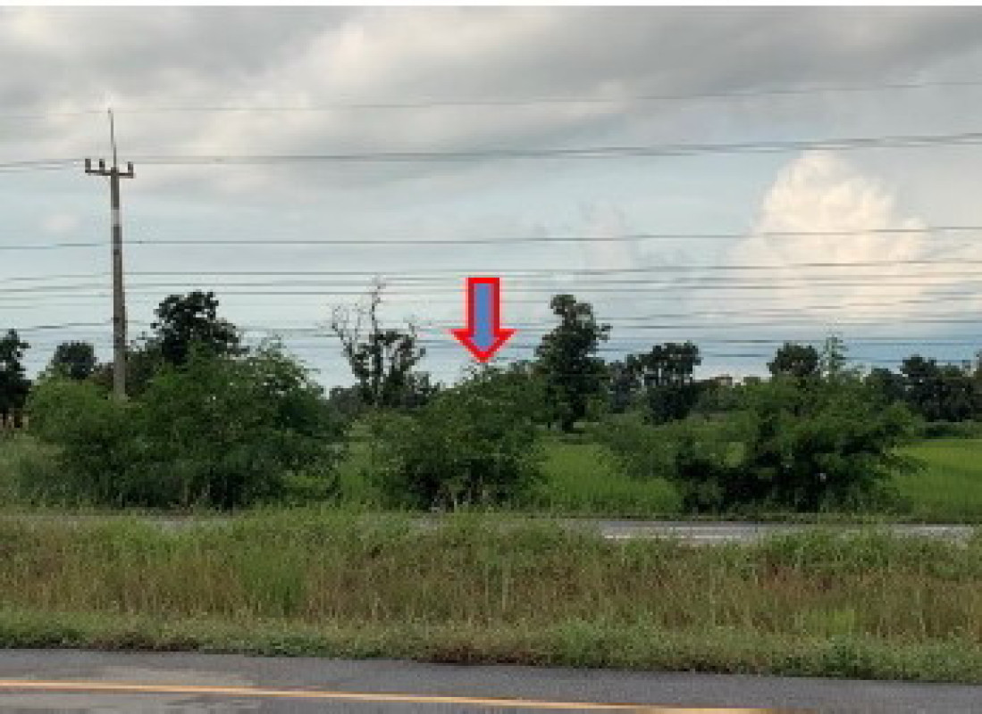 ที่ดินเปล่า บุรีรัมย์ บ้านใหม่ไชยพจน์ หนองแวง 414480