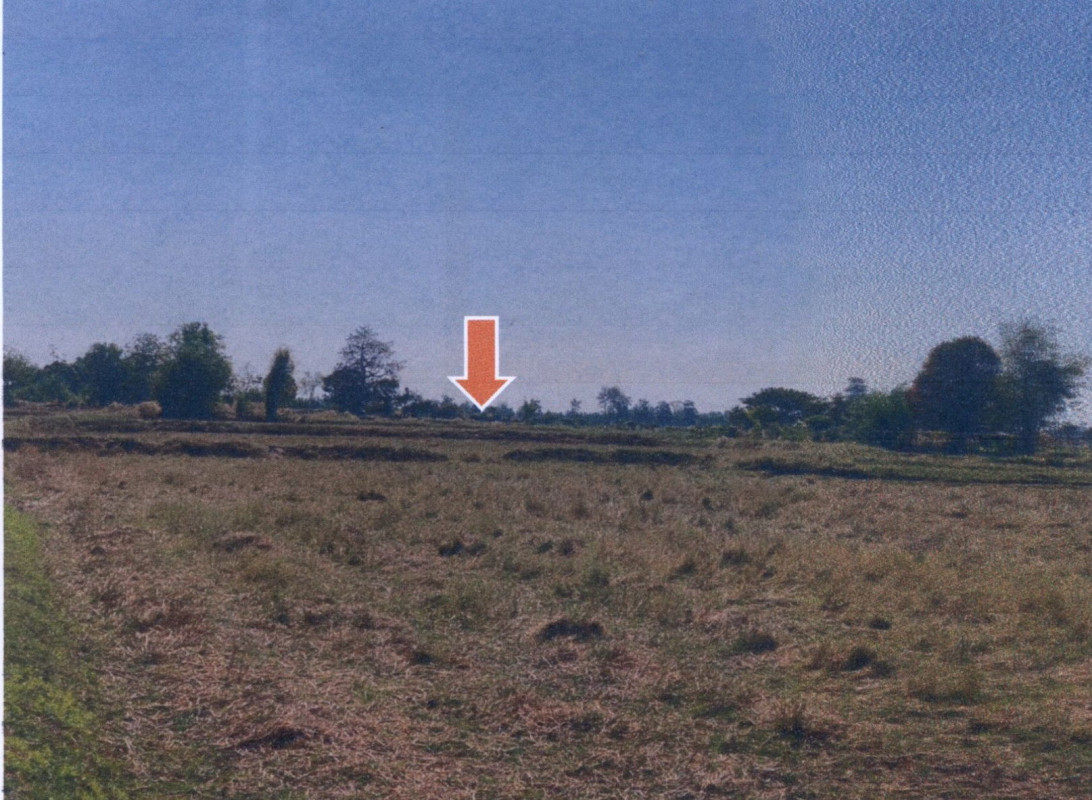 ที่ดินเปล่า สุรินทร์ สำโรงทาบ ศรีสุข 217200