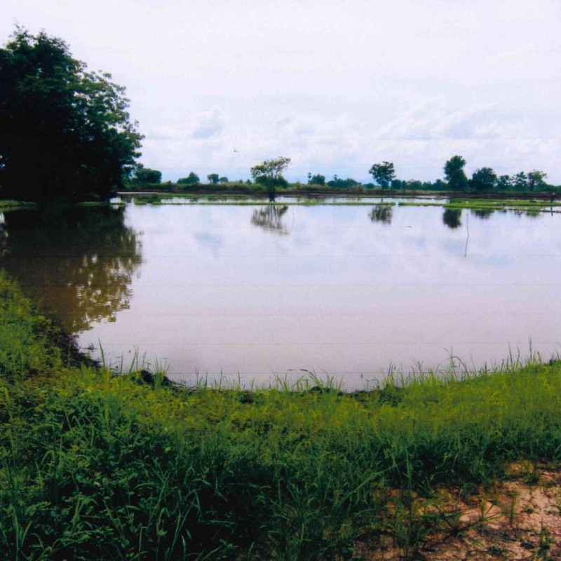 ที่ดินเปล่า สุโขทัย ศรีสำโรง บ้านนา 120375