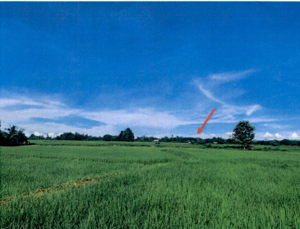 ที่ดินเปล่า ลำปาง เสริมงาม เสริมซ้าย 81000