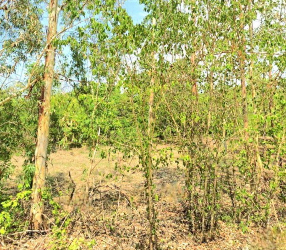 ที่ดินเปล่า สกลนคร สว่างแดนดิน ธาตุทอง 357890