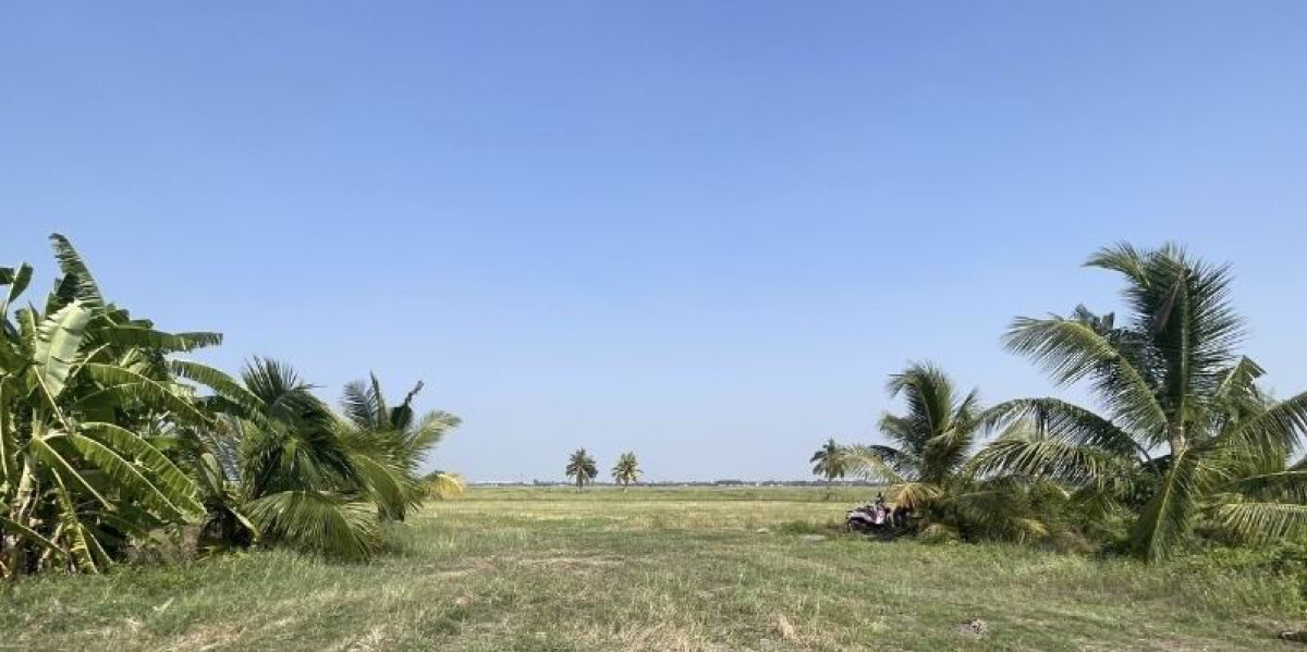 ที่ดินเปล่า นครนายก องครักษ์ ศีรษะกระบือ 50000