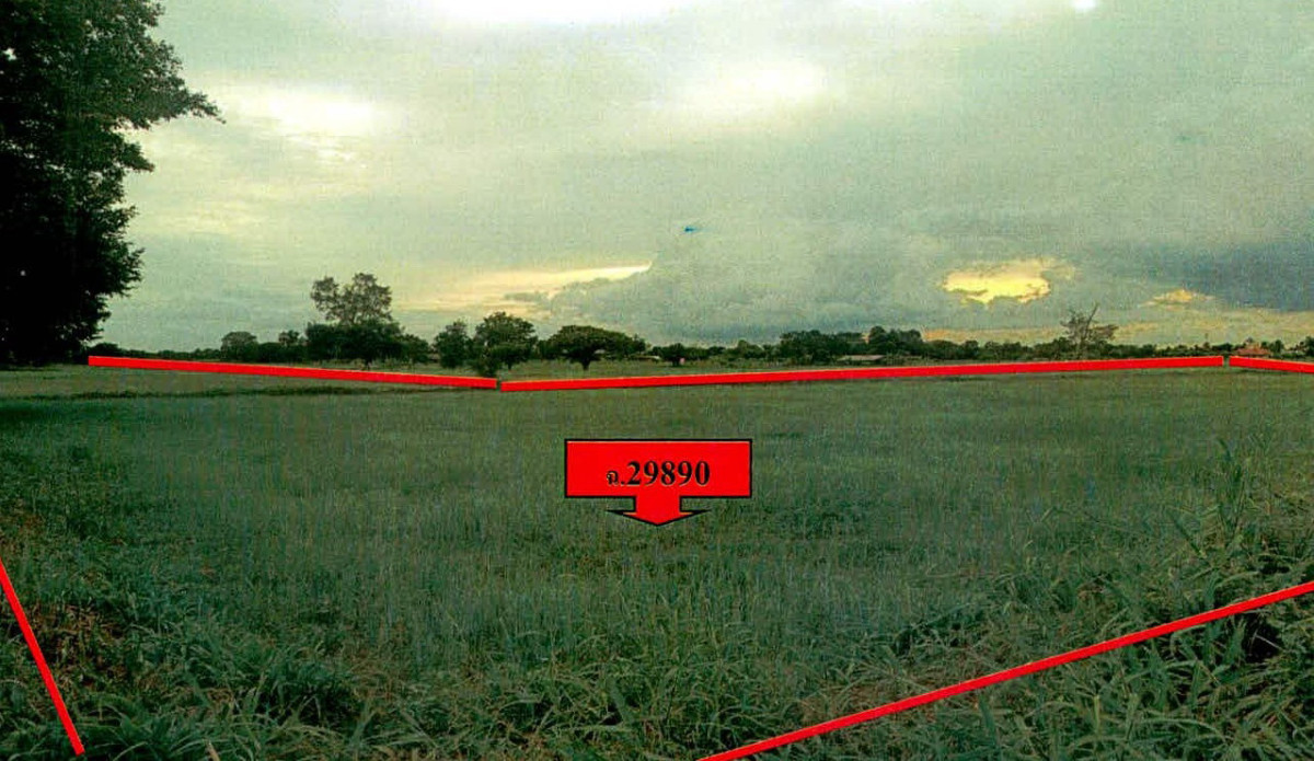 ที่ดินเปล่า สุรินทร์ จอมพระ เมืองลีง 240600