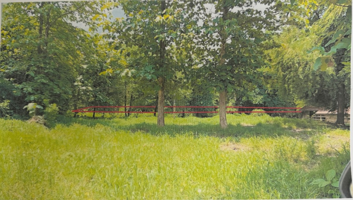 ที่ดินเปล่า พิษณุโลก นครไทย เนินเพิ่ม 12640