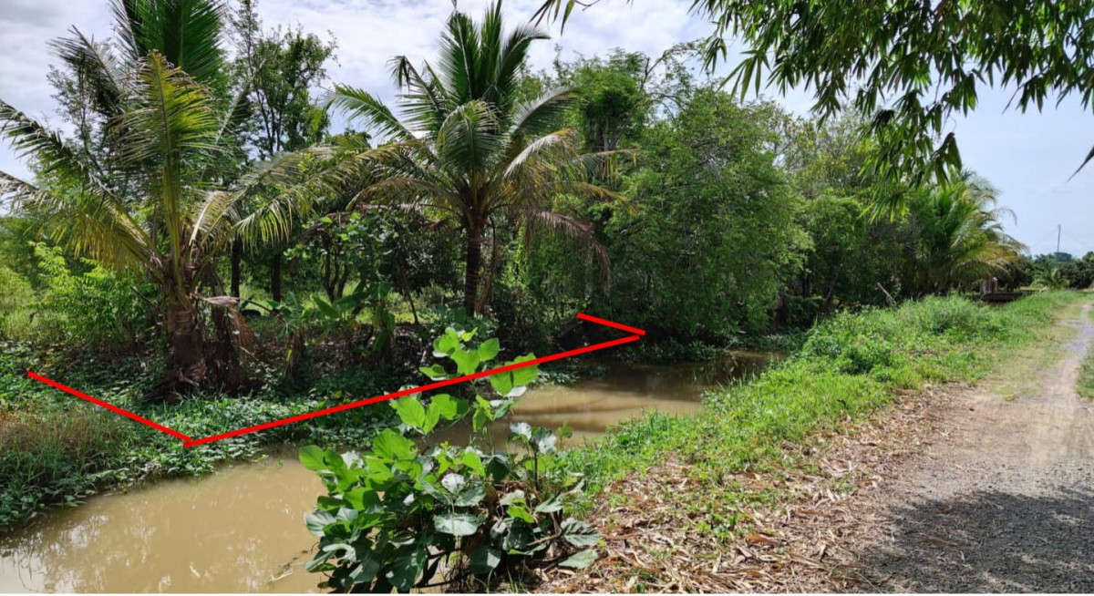 ที่ดินเปล่า เชียงใหม่ หางดง หารแก้ว 1059000