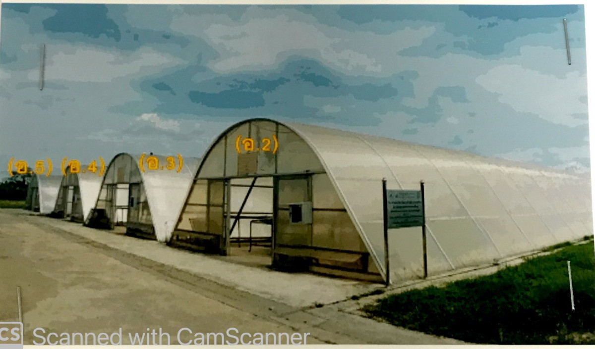 บ้านเดี่ยว พิษณุโลก บางกระทุ่ม บางกระทุ่ม 5038978