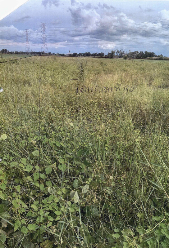 ที่ดินเปล่า พระนครศรีอยุธยา วังน้อย ลำตาเสา 9162000