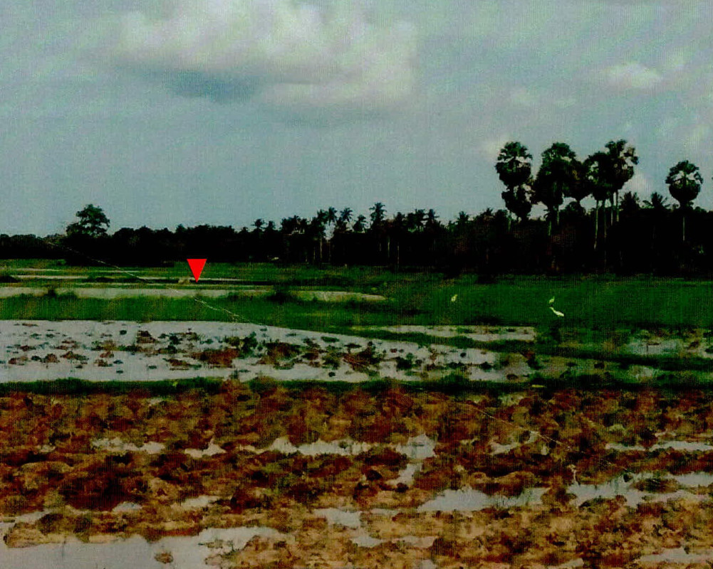 ที่ดินเปล่า ปัตตานี สายบุรี ทุ่งคล้า 40720