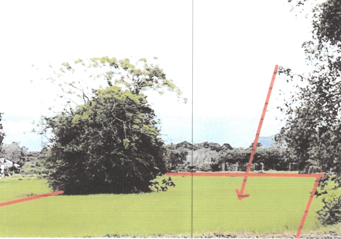 ที่ดินเปล่า พัทลุง เมืองพัทลุง โคกชะงาย 106200