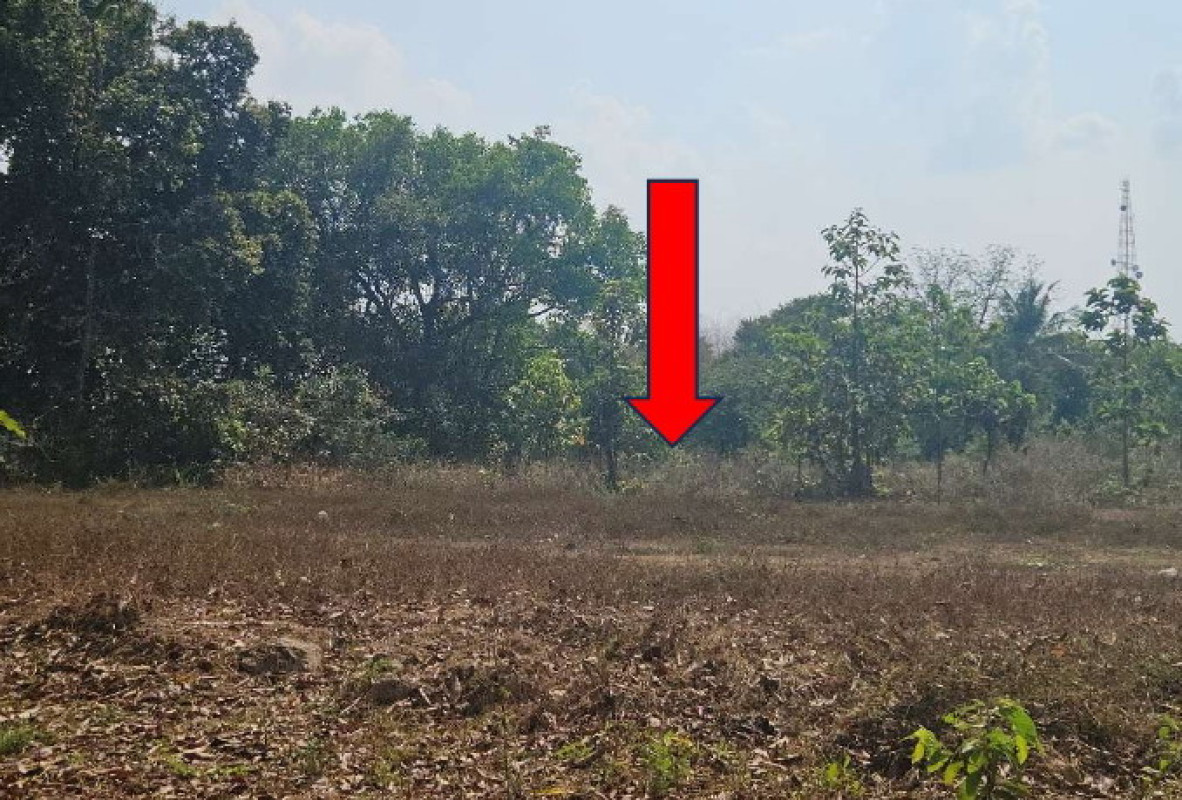 ที่ดินเปล่า อำนาจเจริญ เมืองอำนาจเจริญ บุ่ง 324700