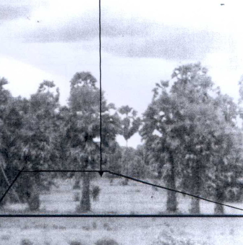 ที่ดินเปล่า เพชรบุรี บ้านลาด ห้วยลึก 200850