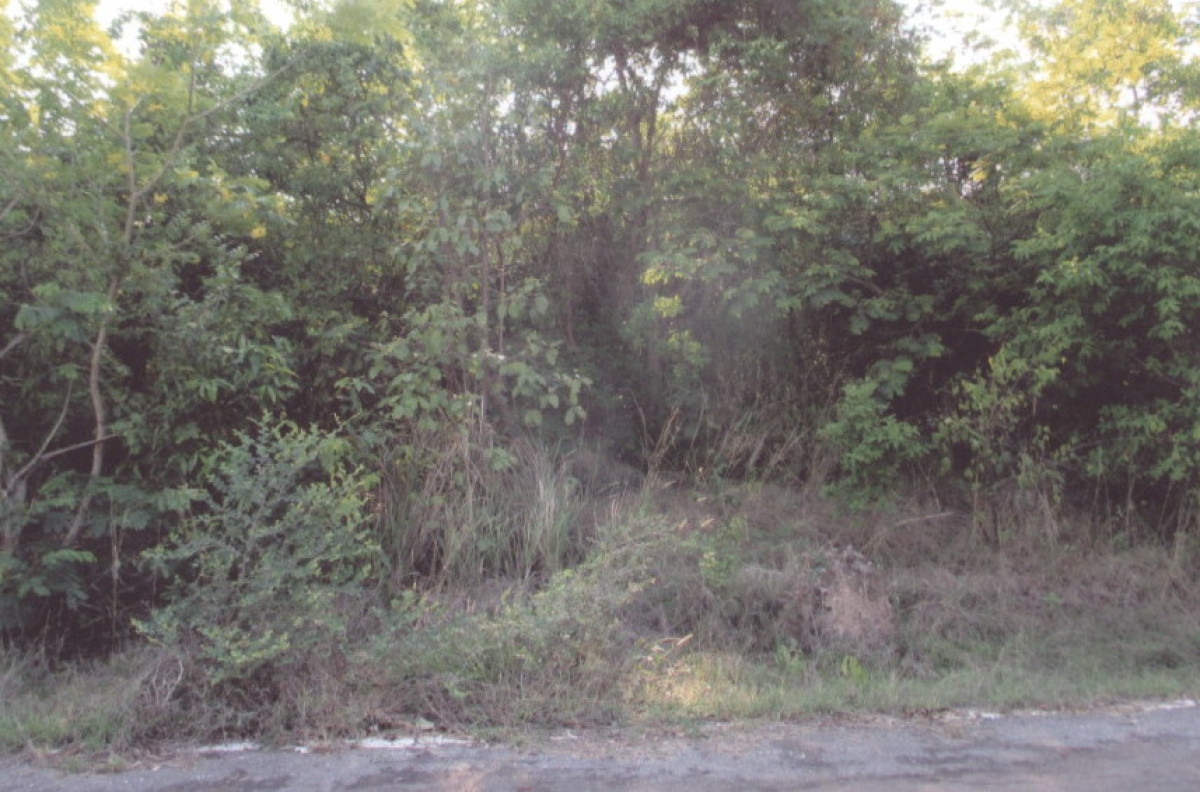 ที่ดินเปล่า อุดรธานี หนองหาน ดอนหายโศก 34000