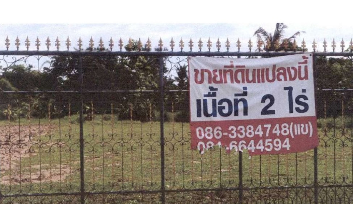 บ้านเดี่ยว บุรีรัมย์ เฉลิมพระเกียรติ ตาเป๊ก 1433600