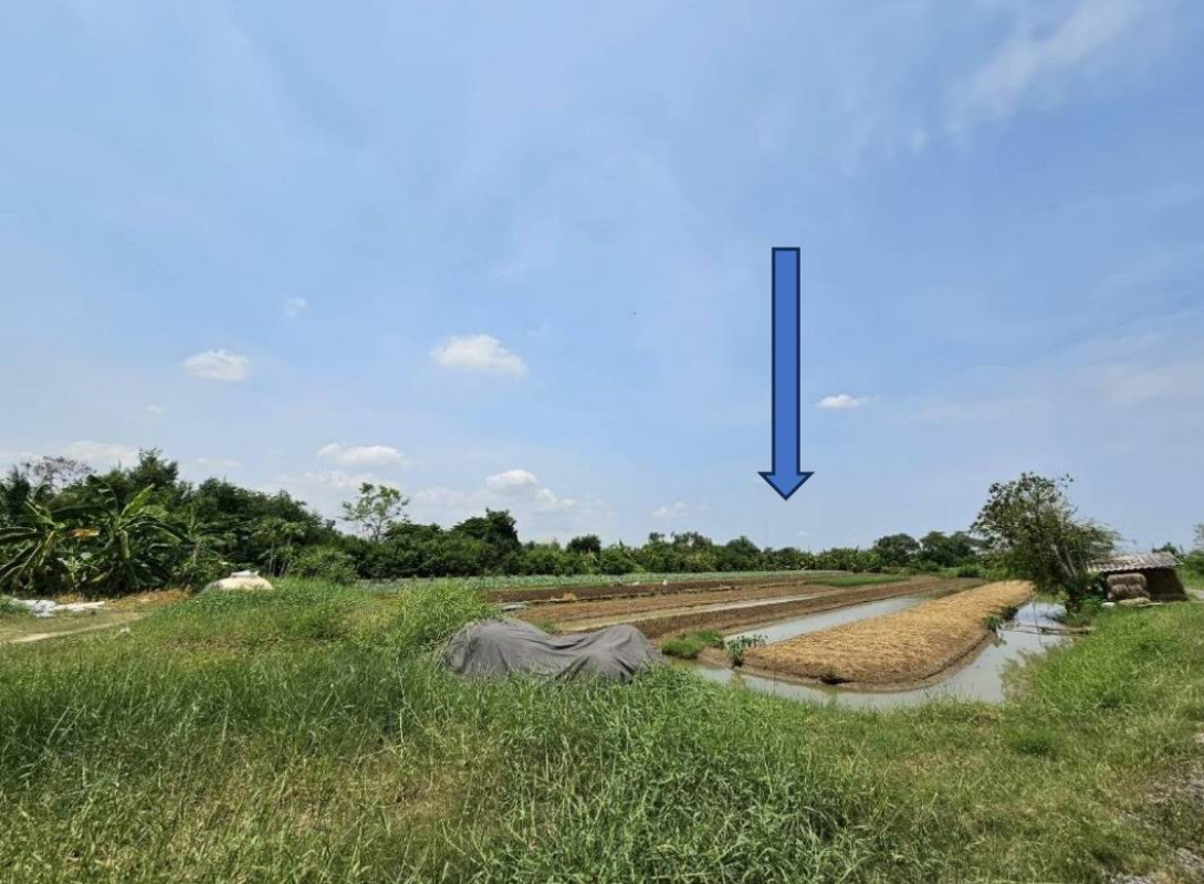 ที่ดินเปล่า นครราชสีมา เมืองนครราชสีมา ปรุใหญ่ 1420000