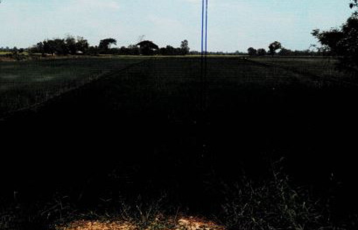 ที่ดินเปล่า ร้อยเอ็ด จังหาร ดินดำ 160000