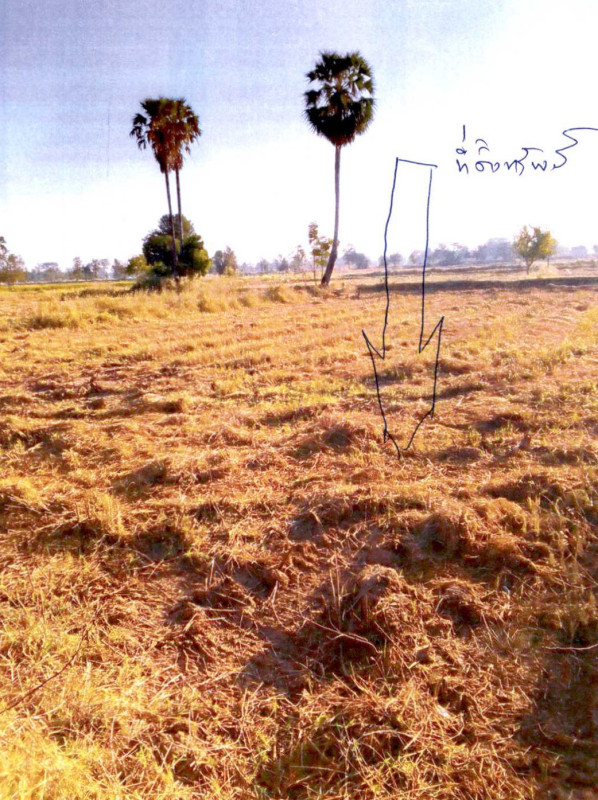 ที่ดินเปล่า บุรีรัมย์ นางรอง หัวถนน 1245825