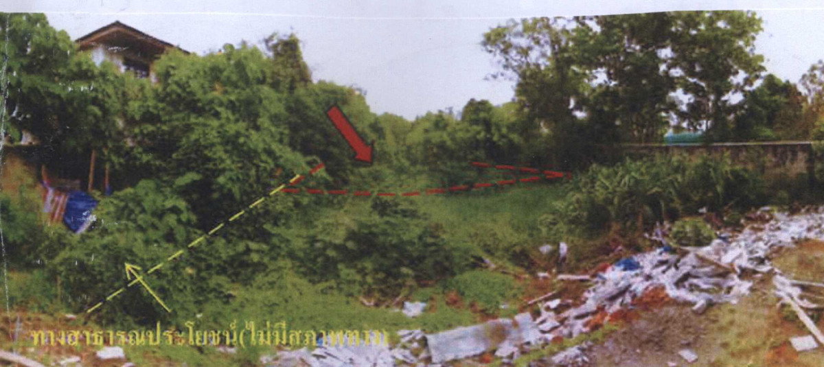 ที่ดินเปล่า สุราษฎร์ธานี เมืองสุราษฎร์ธานี บางกุ้ง 1398000