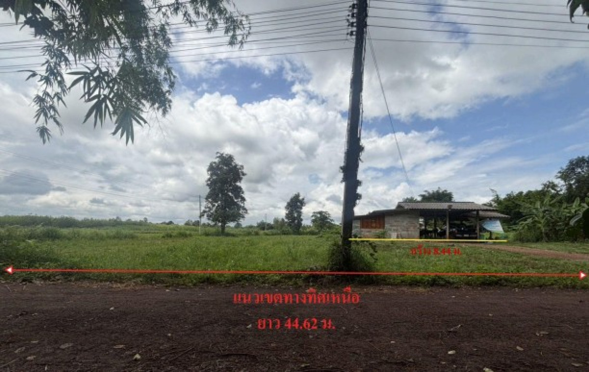 บ้านเดี่ยว อุดรธานี บ้านดุง บ้านชัย 618492