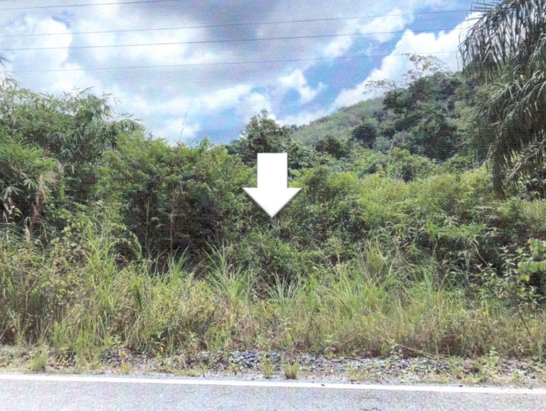 ที่ดินเปล่า ยะลา รามัน กอตอตือร๊ะ 22360