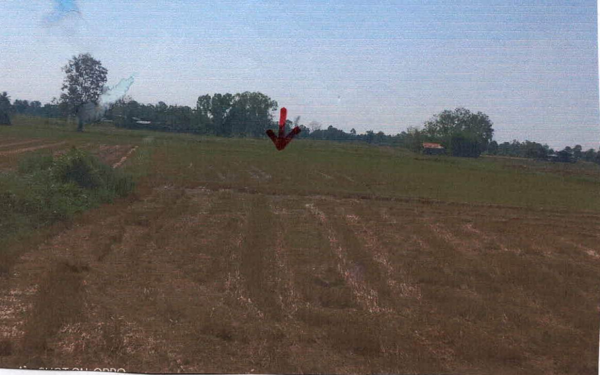 ที่ดินเปล่า พิษณุโลก บางกระทุ่ม นครป่าหมาก 160650