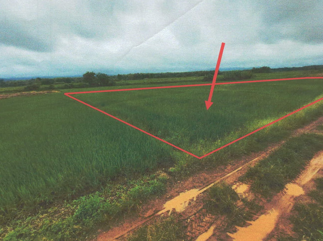 ที่ดินเปล่า ลำปาง งาว บ้านแหง 282300