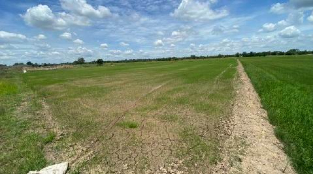 ที่ดินเปล่า พิษณุโลก เมืองพิษณุโลก ปากโทก 484200